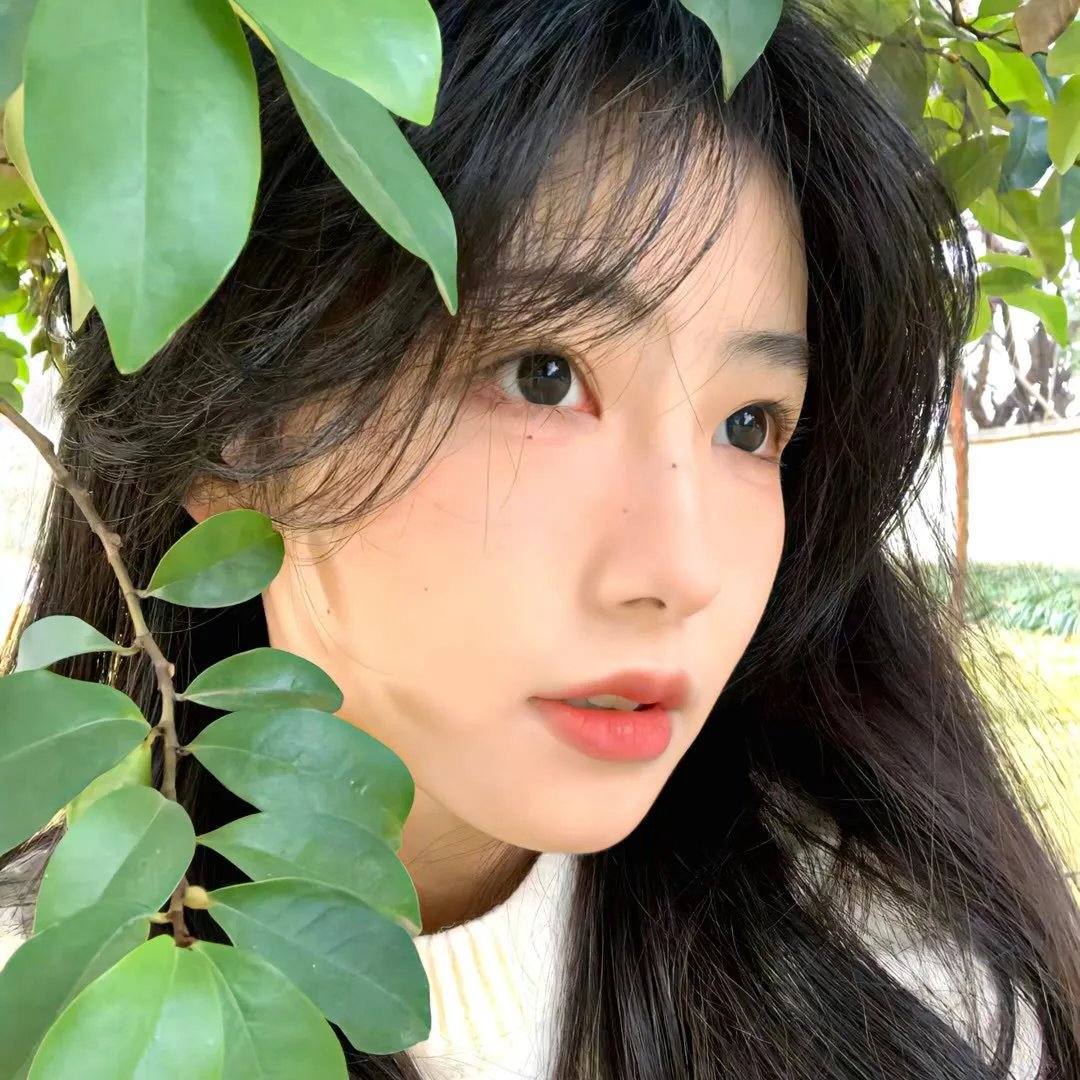 爆笑虫子 第一季