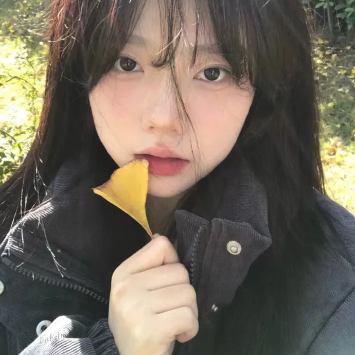 两不疑第二季
